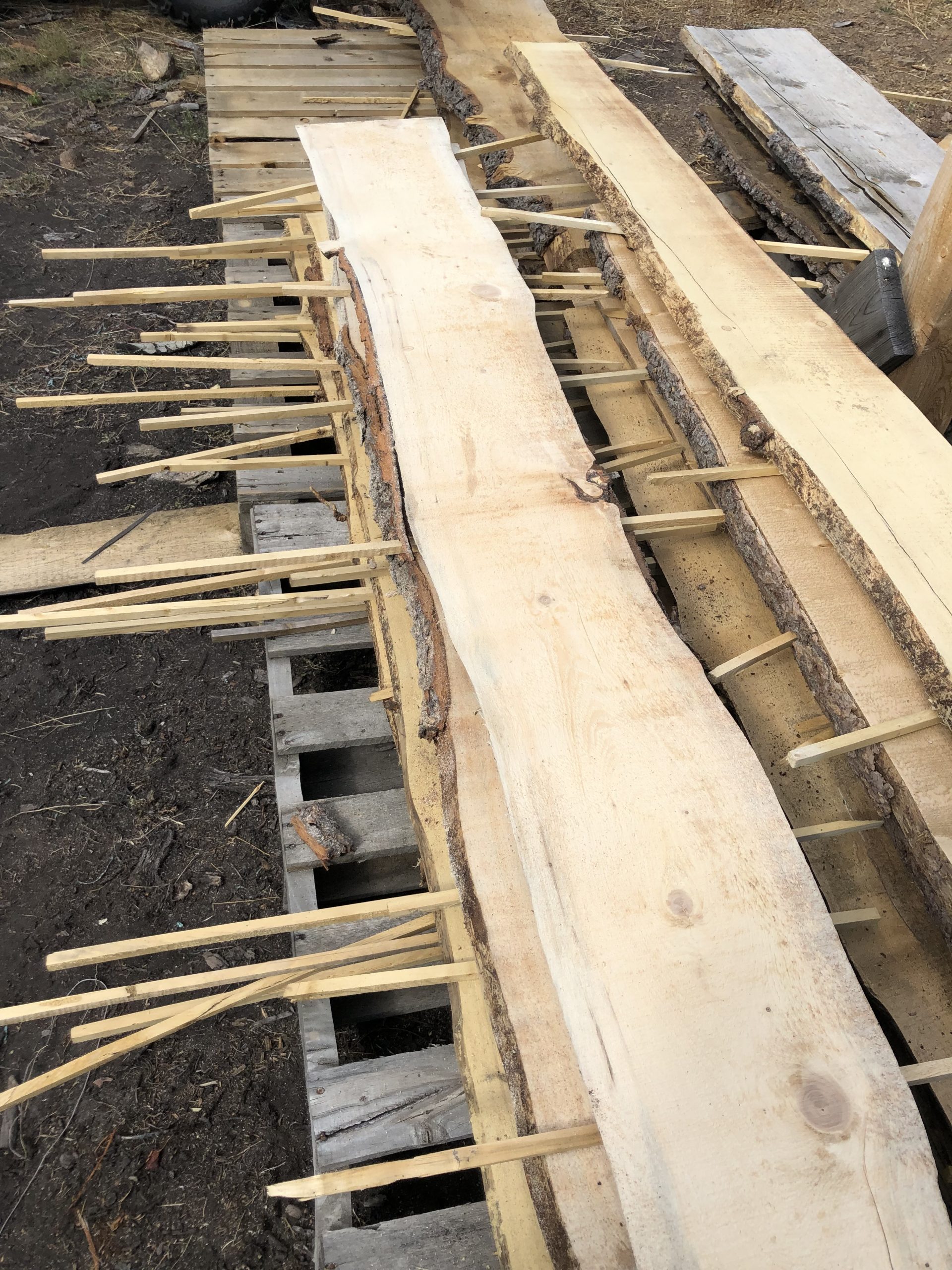 Live Edge Slabs (per board foot)